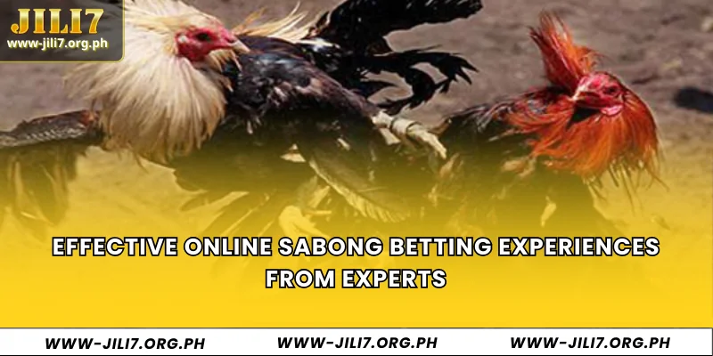 Effective Online Sabong Betting Experiences from Experts